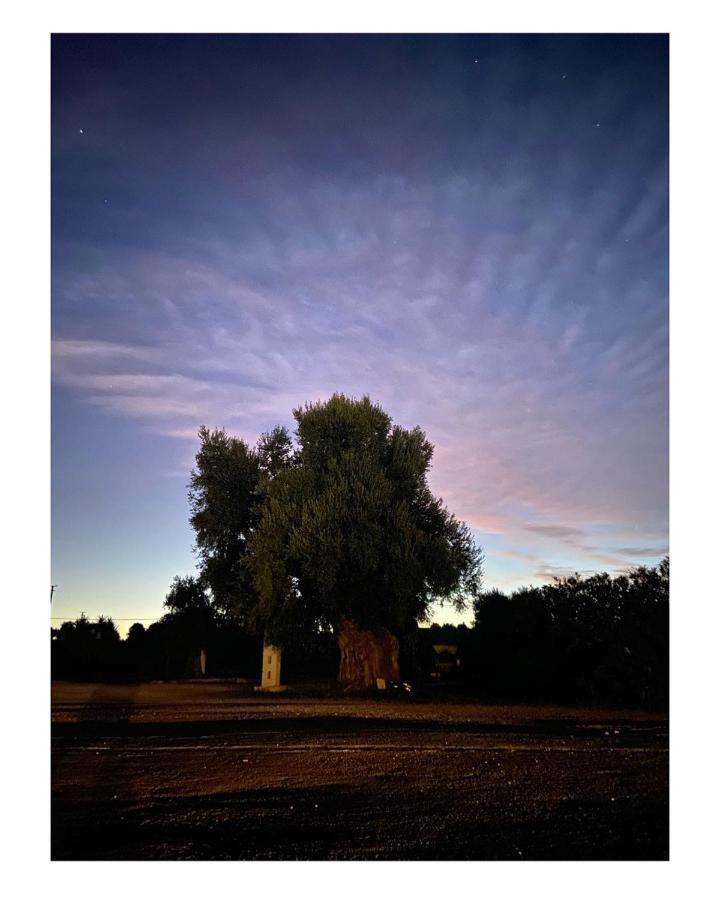 Masseria Conca D'Oro Ostuni Dış mekan fotoğraf