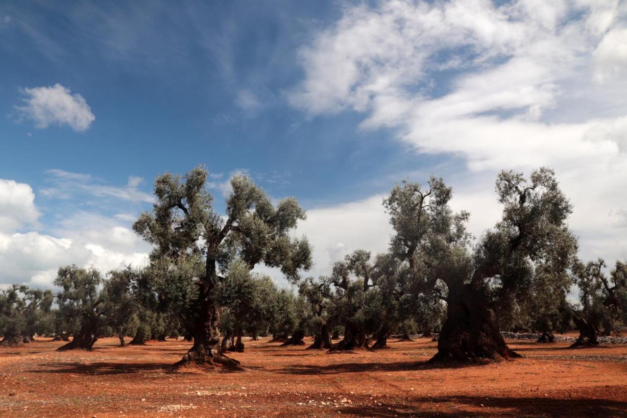 Masseria Conca D'Oro Ostuni Dış mekan fotoğraf