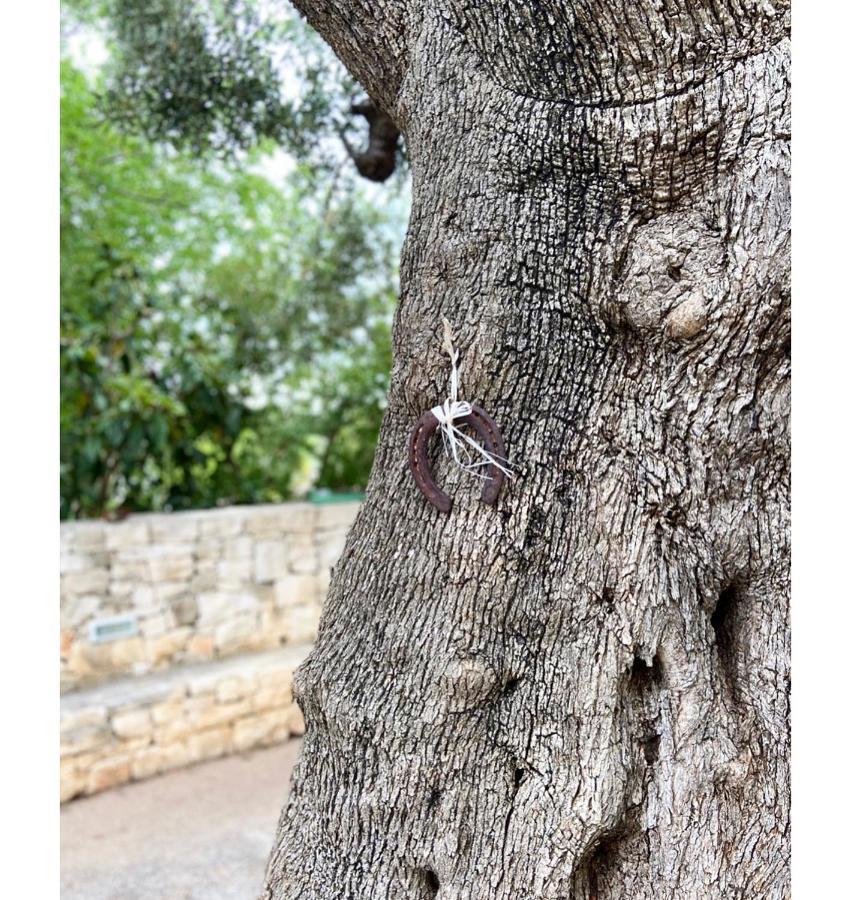 Masseria Conca D'Oro Ostuni Dış mekan fotoğraf