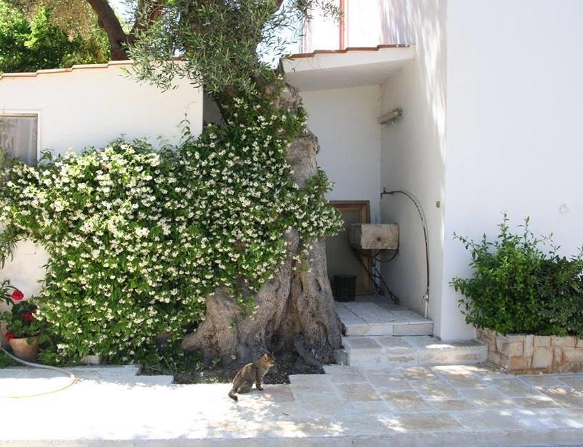 Masseria Conca D'Oro Ostuni Dış mekan fotoğraf